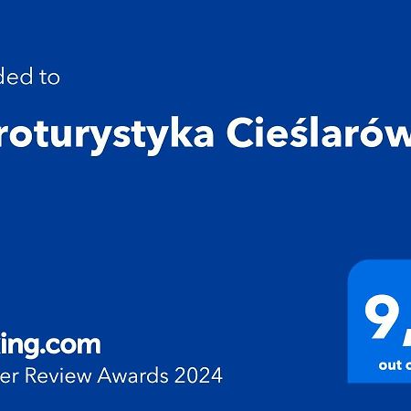 Agroturystyka Cieslarowka Lubawka Dış mekan fotoğraf