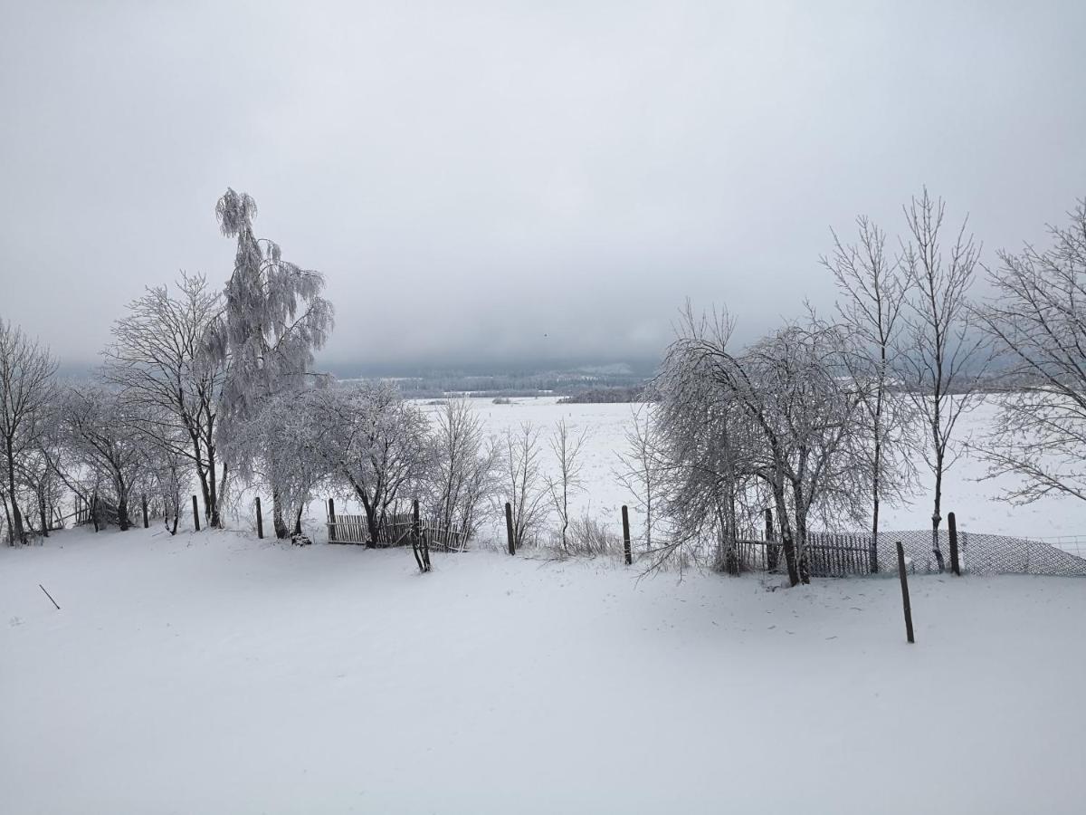 Agroturystyka Cieslarowka Lubawka Dış mekan fotoğraf